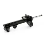 RIDEX Amort 854S18174