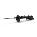 RIDEX Amort 854S18509