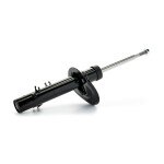 RIDEX Amort 854S18813