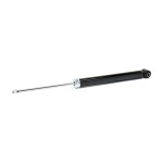 RIDEX Amort 854S19050