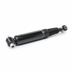 RIDEX Amort 854S19051