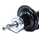 RIDEX Amort 854S1919