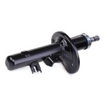 RIDEX Amort 854S2006