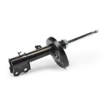 RIDEX Amort 854S2173