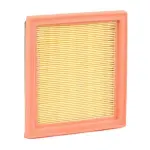 RIDEX Õhufilter 8A0049