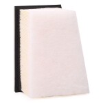 RIDEX Õhufilter 8A0080
