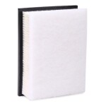 RIDEX Õhufilter 8A0324