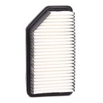 RIDEX Õhufilter 8A0415