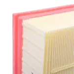 RIDEX Õhufilter 8A0918