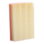 RIDEX Õhufilter 8A1018