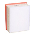 RIDEX Õhufilter 8A1615
