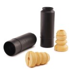 RIDEX Tolmukaitse komplekt,  Amordid 919D0029