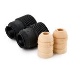 RIDEX Tolmukaitse komplekt,  Amordid 919D0031