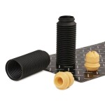 RIDEX Tolmukaitse komplekt,  Amordid 919D0056