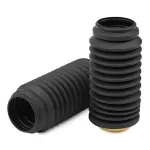 RIDEX Tolmukaitse komplekt,  Amordid 919D0111