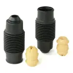 RIDEX Tolmukaitse komplekt,  Amordid 919D0135