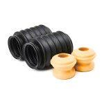 RIDEX Tolmukaitse komplekt,  Amordid 919D0231