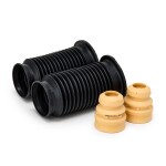 RIDEX Tolmukaitse komplekt,  Amordid 919D0241