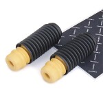 RIDEX Tolmukaitse komplekt,  Amordid 919D0350