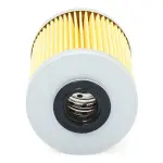 RIDEX Kütusefilter 9F0021
