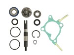 RMS RMS 10 011 0310 / coolant pump repair kit fits: honda fes 250 1998-1998
