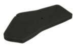 RMS RMS 10 060 0231 / foam air filter - cartridge fits: honda sfx 50 1995-2000