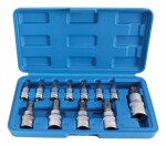 komplekt padrunid TORX auguga 13tk.