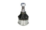 TEN CAR S021 / hinge right/left (upper) fits: jeep commander, grand cherokee iii 3.0-6.1 10.04-