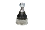 TEN CAR S031 / shock absorber bolt front fits: mercedes sl (r230) 3.0-5.5 10.01-01.12