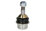 TEN CAR S037 / hinge right/left (lower front) (front and rear axle) fits: dodge durango, jeep grand cherokee, grand cherokee iv 3.0d-6.4 11.10-