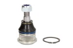 TEN CAR S039 / hinge right/left (upper front) fits: chrysler cirrus, sebring, stratus, dodge stratus, plymouth breeze 2.0-3.0 05.94-