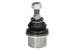 TEN CAR S060TC / hinge right/left (lower front) fits: renault twingo ii, wind 1.2/1.5d/1.6 03.07-