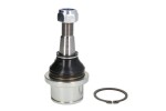 TEN CAR S062TC / hinge right/left (front) fits: dodge ram, ram 1500 3.7-6.7 10.08-