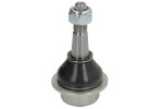 TEN CAR S094TC / steering knuckle (lower) fits: jeep 3.6 (erc), 2.0 4xe plug-in hybrid (jl74), 2.0 t-gdi (jl72, jl74), 2.2 multijet ii (jl72, jl74), 3.0 td v6 (exj), 3.6, 6.4