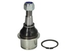 TEN CAR S095TC / hinge right/left (lower) fits: ram 1500 6.2 09.20-