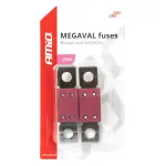 Kaitse MEGAVAL 2 tk 250A