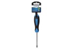 Kruvikeeraja TORX T40 100mm