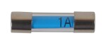 Klaaskaitse MINI 1 Amp