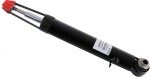 SACHS Amort 315 313