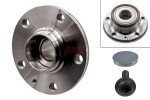Schaeffler FAG Rattalaagrikomplekt 713 6111 60