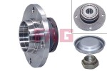 Schaeffler FAG Rattalaagrikomplekt 713 6400 30