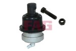 Schaeffler FAG Шарнир независимой подвески / поворотного рычага 825 0091 10
