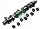 Schaeffler INA Nukkvõllikomplekt 428 0039 30