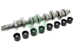 Schaeffler INA Nukkvõllikomplekt 428 0042 30