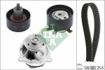 INA  Veepump + hammasrihmakomplekt 530 0066 30