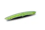 Schaeffler INA Siin,  mootorikett 552 0251 10