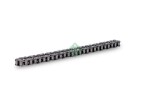 Schaeffler INA Kett,  õlipump (õlipumbavedu) 553 0310 10