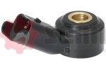 SEIM Detonatsiooniandur CC70
