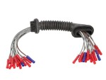 SENCOM 1512512 / electric wires for the tailgate (350mm, number of terminals: 15, with cover, right) fits: ford galaxy i, galaxy ii, seat alhambra, vw sharan 1.8-2.8 03.95-06.15