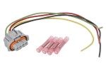 SENCOM 20746 / electrical wires (250mm, number of terminals: 4)
